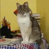 Отзыв от Софья Шилова